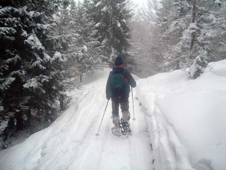 2006-01-01-Pizzo_Formico-38