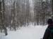 2006-01-01-Pizzo_Formico-42