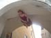 2005-09-09-Bressanone-cantando_DeMarzi-08