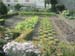 2005-09-09-Bressanone-cantando_DeMarzi-53