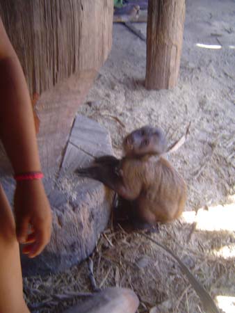 awa 2005 diego 025