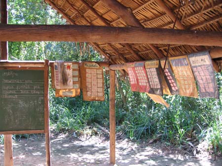 awa-guaja 058