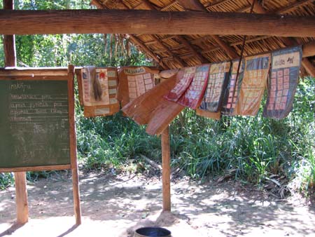 awa-guaja 059