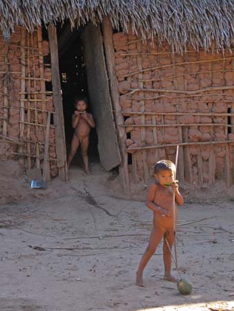 awa-guaja 066