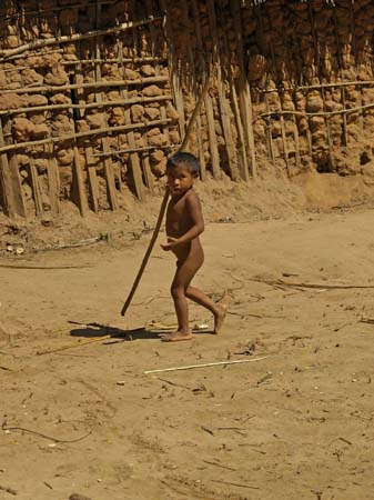 awa-guaja 072