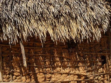 awa-guaja 075