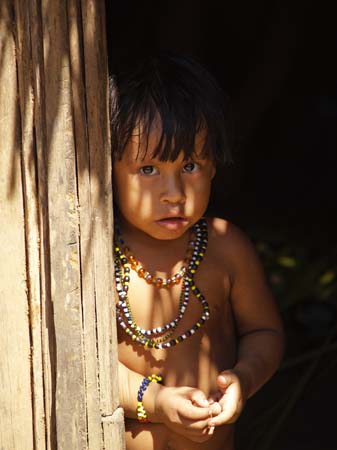 awa-guaja 079