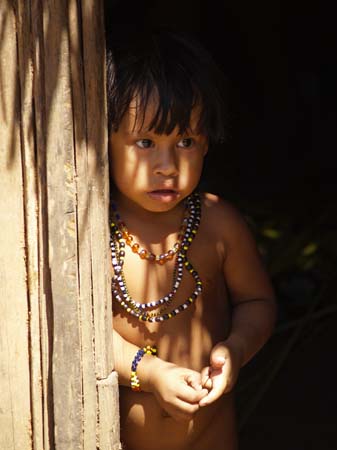 awa-guaja 080