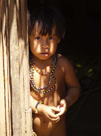 awa-guaja 081