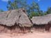 awa-guaja 060