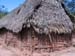 awa-guaja 061
