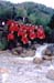 2002-Rusio-01
